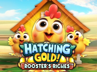 HatchingGoldRoostersRiches