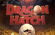 DragonHatch